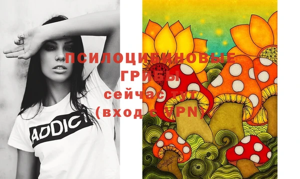 мет Карпинск